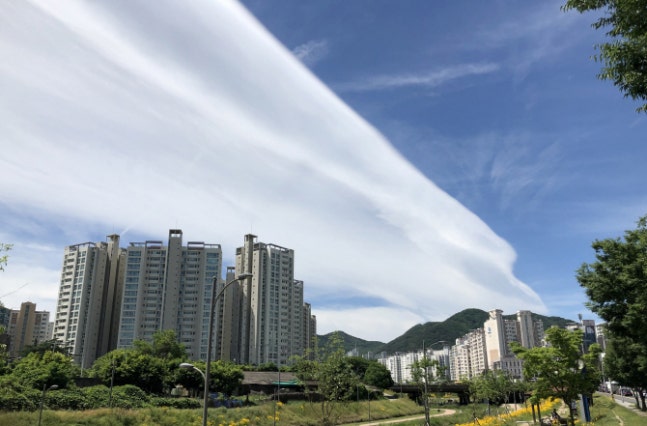 빵구름 이미지