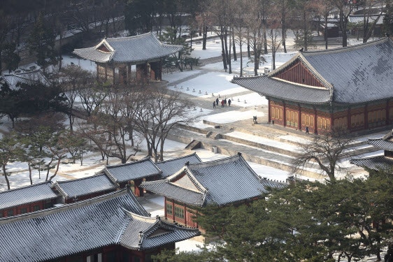 21일 <b>올겨울</b> '<b>최강 한파</b>'…아침 최저 영하 19도[내일날씨]
