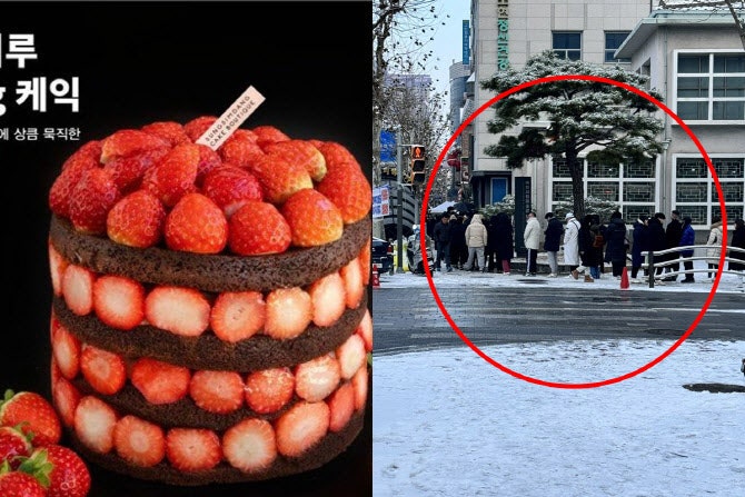'대란템' <b>성심당 딸기시루</b>, 개명 후 판매량 급증한 사연