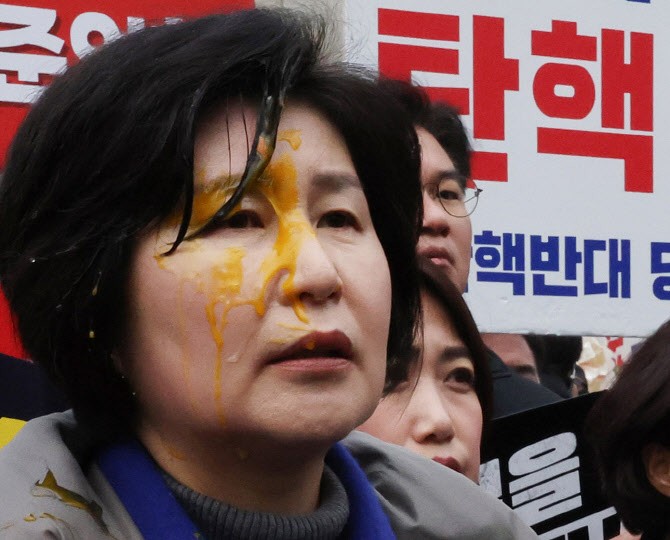 경찰, '백혜련 <b>계란 투척</b>’ 수사 착수…<b>헌재</b> 앞 시위대 해산 조치