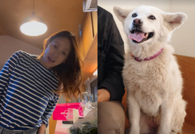 <b>이효리</b>, 암투병 반려견 떠나보내… "잘 가라, <b>석삼이</b>"