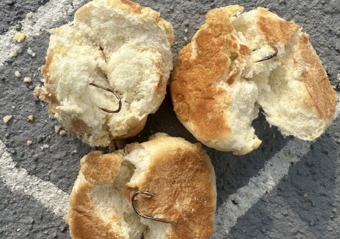 나주 반려견 놀이터서 '낚싯바늘 박힌 빵' 발견…경찰 수사 의뢰