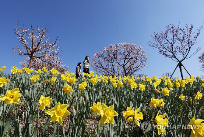 따뜻한 봄 날씨, 일교차 주의!