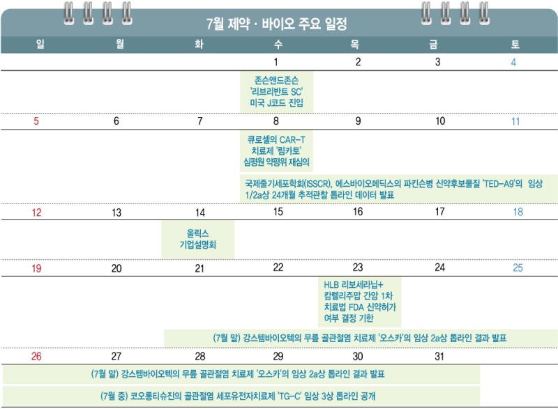 'HLB 운명의 날에 TG-C 설욕전까지'…7월 K바이오 핫이슈[월간 ...