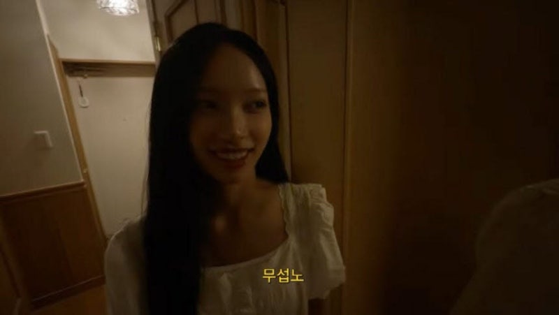 리센느 원이 “무섭노” 일베 논란…국립국어원 입장은?