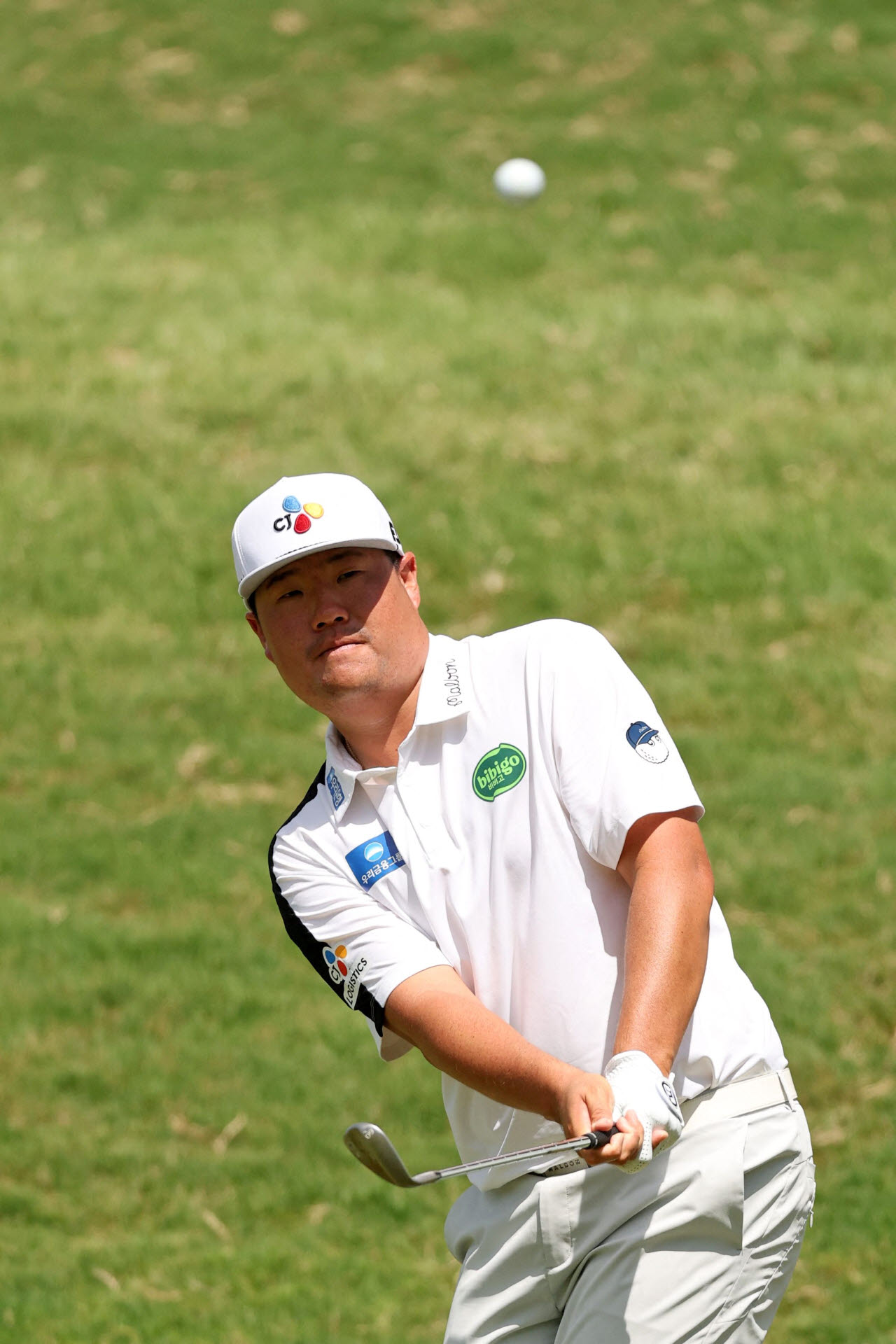PGA 플레이오프 첫 판에 한국인 삼총사가 리더보드 찢었다