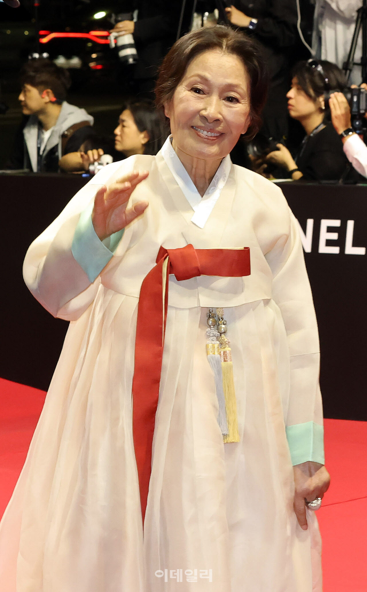 <b>김혜자</b>, '여전히 찬란하게' <b>무대인사</b> 직전 <b>취소</b>…"부득이한 사정"