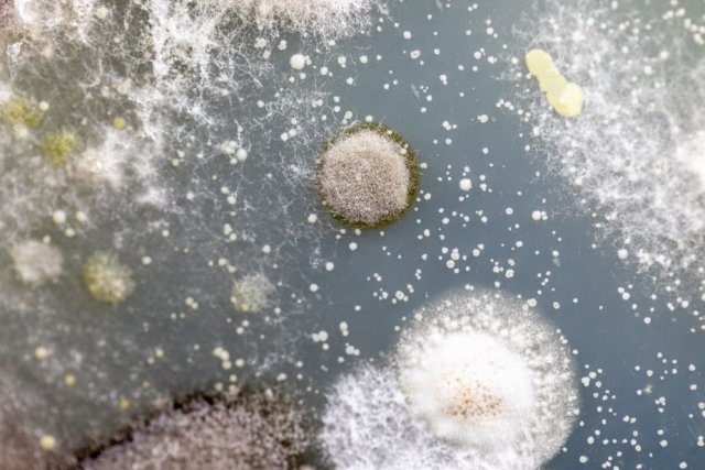 0003438690_002_20220707161201110.jpg?type=w647