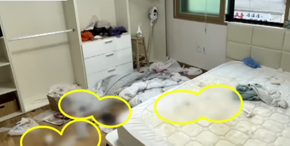 직거래로 집 빌려줬더니 ‘쓰레기장’ 만들고 잠적