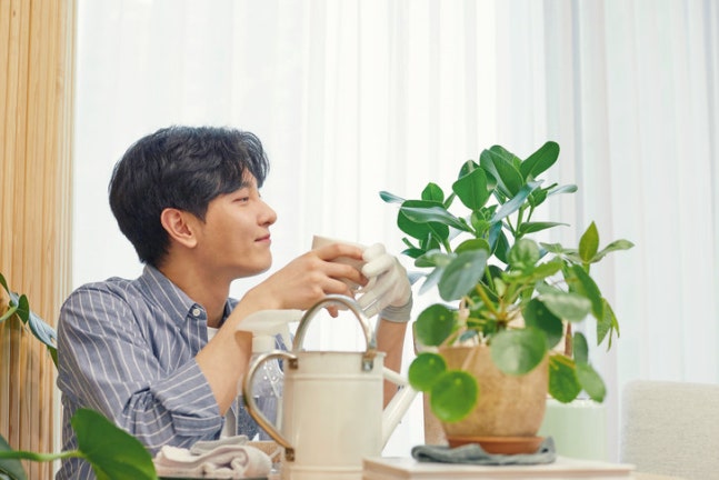 함께 시간을 보낼 사람이 없어서 어쩔 수 없이 혼자라고 여긴다면 혼자 있는 시간을 마음 편히 즐기기 어렵다. <BR> 휴식,<BR> 이완,<BR> 자유를 느끼게 해주는 고독한 시간이 주는 힘에 대해 알아보자. 게티이미지뱅크