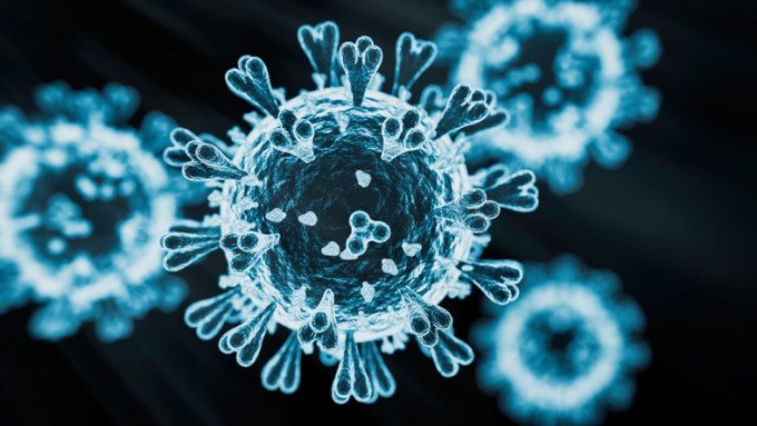 고병원성 조류인플루엔자인 H5N1의 3차원 이미지. 게티이미지코리아 