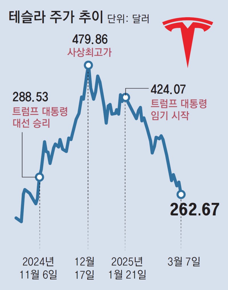 ‘머스크 리스크’에 퍼렇게 멍든 테슬라… 서학개미 “그래도 산다”