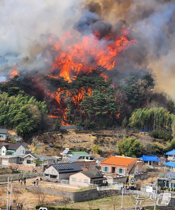 네이버·카카오, <b>산불 피해 복구</b>에 10억원씩 <b>기부</b>