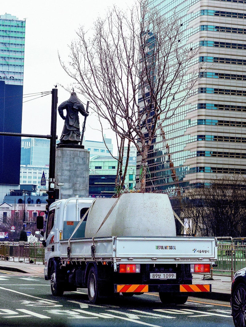 [고양이 눈]도심의 산소공장