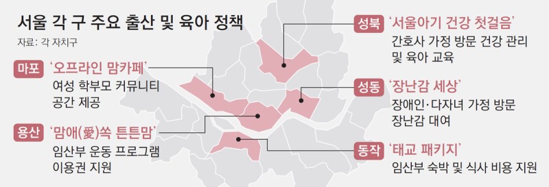 구청서 맘카페 운영-태교 여행비 지원