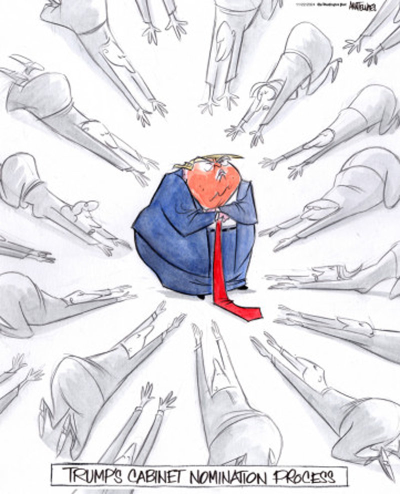 텔네이스가 WP 재직 당시 그렸던 만평.역시 모든 이가 트럼프 대통령에게 아부한다는 점을 꼬집고 있다.사진 출처 텔네이스 서브스택