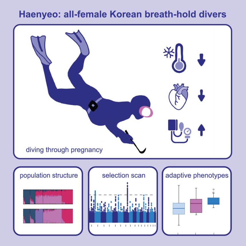 논문 캡처.