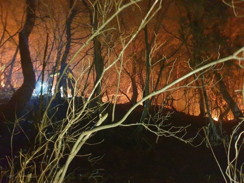 서울 노원구 <b>수락산</b> 산불…“창문 닫고 산 주변 접근 자제”