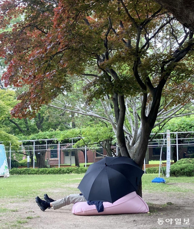 [고양이 눈]낮잠의 고수