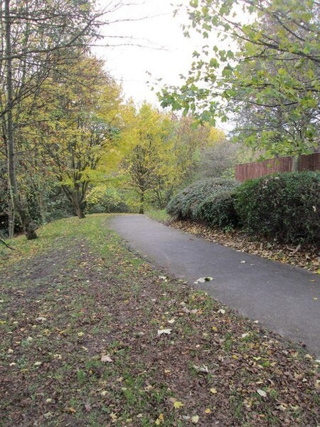 나는 지나온 모든 길의 교차점… 미련도, 후회도 없이 운명 긍정해야[강용수의 철학이 필요할 때]