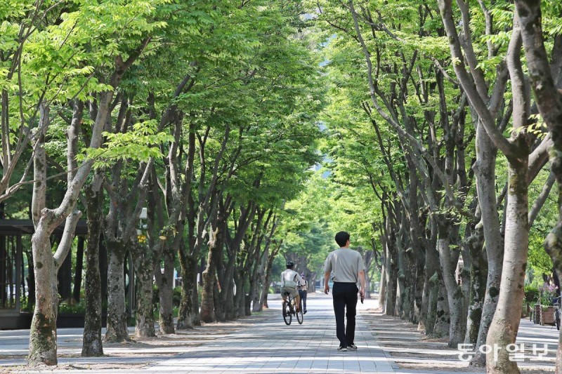 녹음 아래 걸으니 더위 달아난 듯