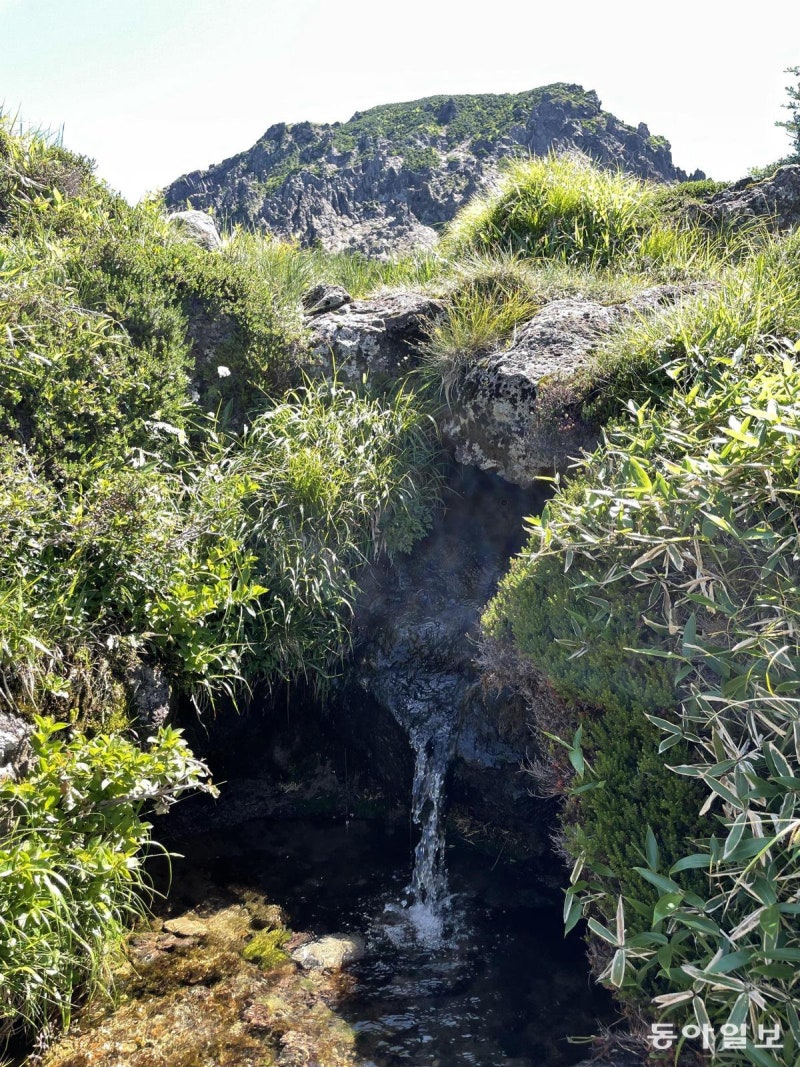‘국내 가장 높은 샘’ 한라산 백록샘, 베일 벗었다