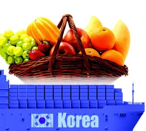 [횡설수설/우경임]수출 효자로 떠오른 K농산물