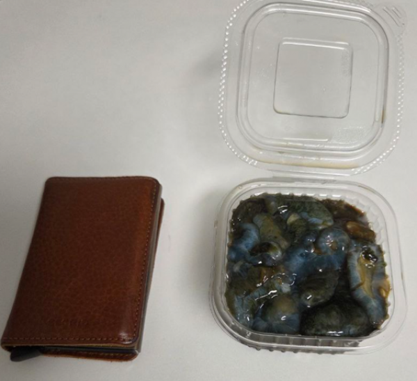 A씨가 받았다는 해삼. A씨는 해삼이 카드지갑과 비슷한 크기에 담길 정도의 양으로 “2~3마리 분량에 불과했다”고 주장했다. (출처=보배드림 캡처)