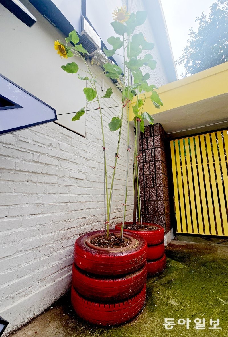 [고양이 눈]“너를 보호해 줄게!”