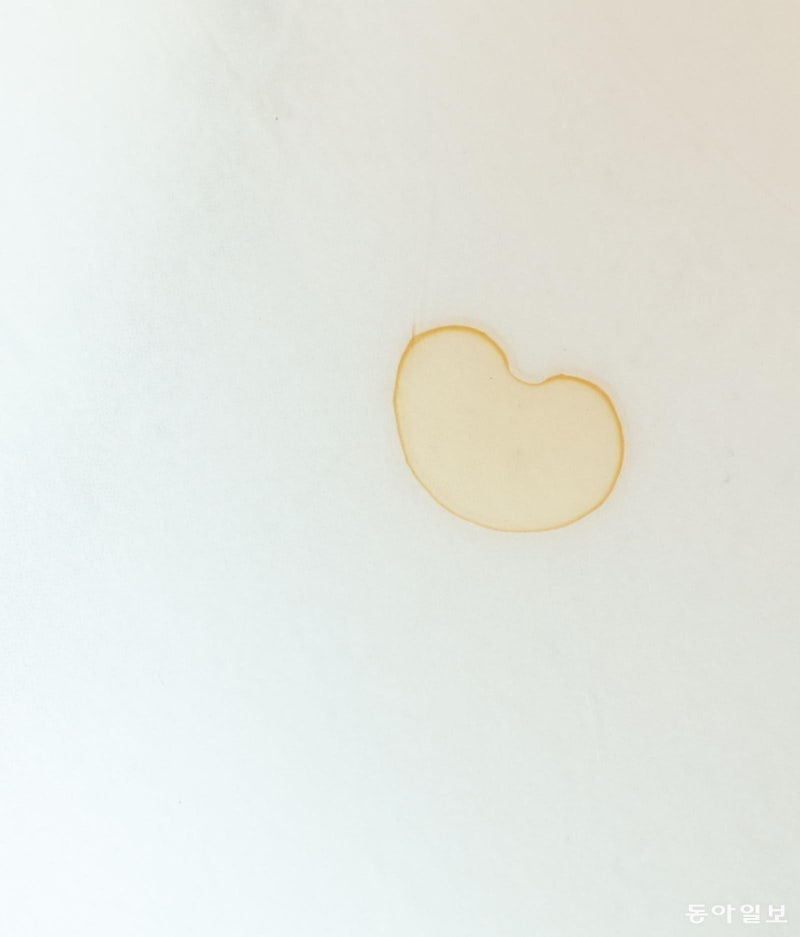 [고양이 눈]너는 누구니?