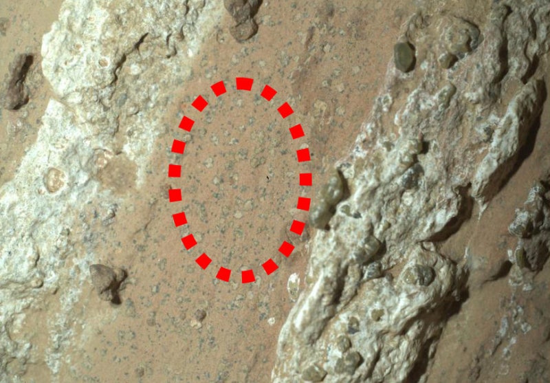 NASA “화성 암석서 고대 미생물 흔적 발견”