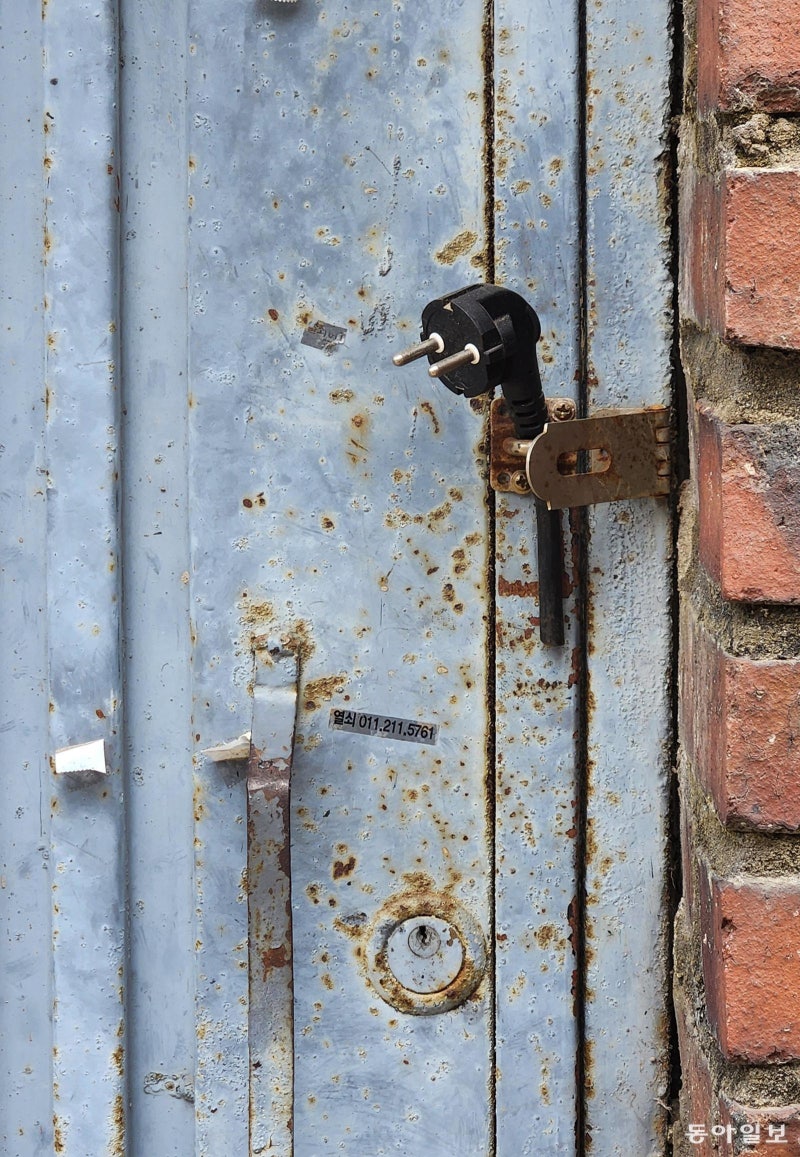 [고양이 눈]인생 2회차