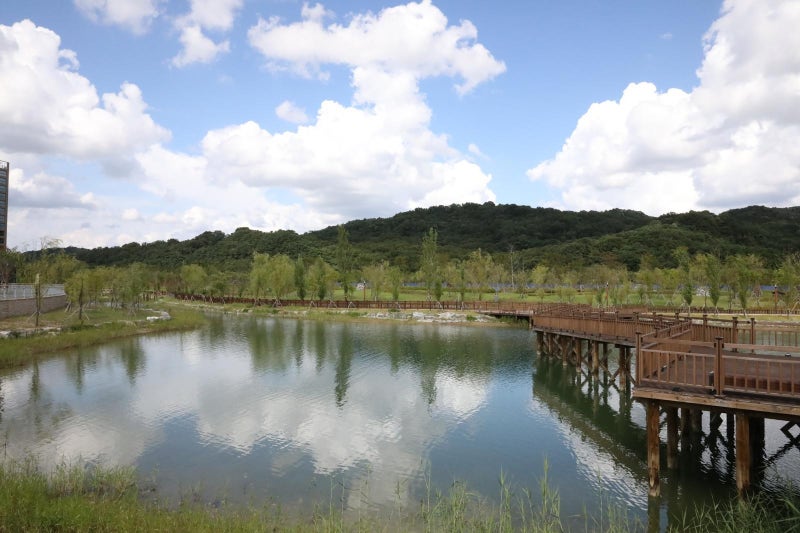 습지-전망대-강수욕장… 대전 ‘호수공원’ 생겼다