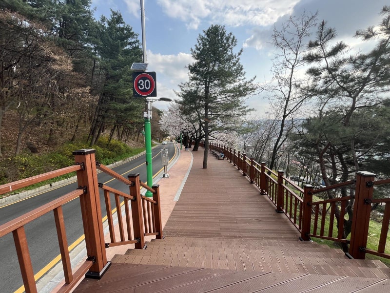 낮엔 산책, 밤엔 야경… 청주 명물 ‘우암산 둘레길’ 마무리