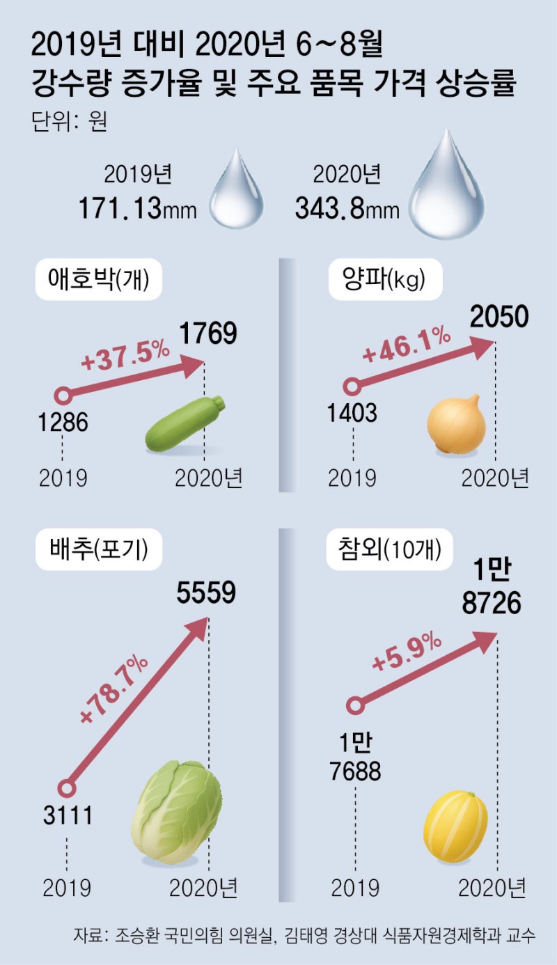 밥상물가 위협하는 극한기상… “폭염보다 폭우가 더 큰 타격”