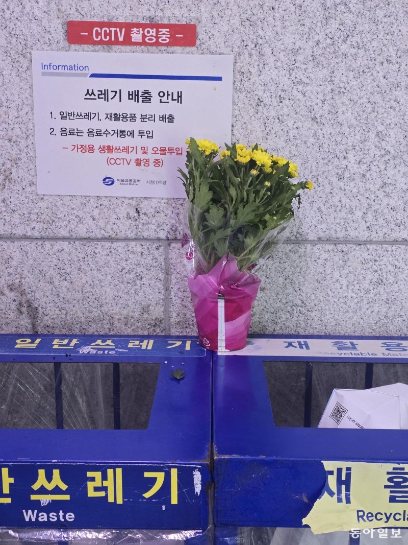 [고양이 눈]기다림
