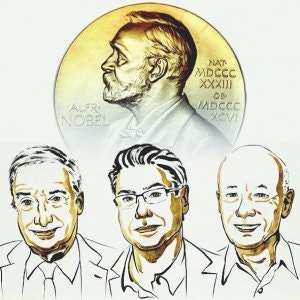 노벨상이 주목한 ‘창조적 파괴’[횡설수설/정임수]