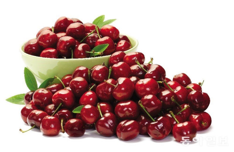 약보다 달콤한 휴식, 한 줌의 체리[정세연의 음식처방]