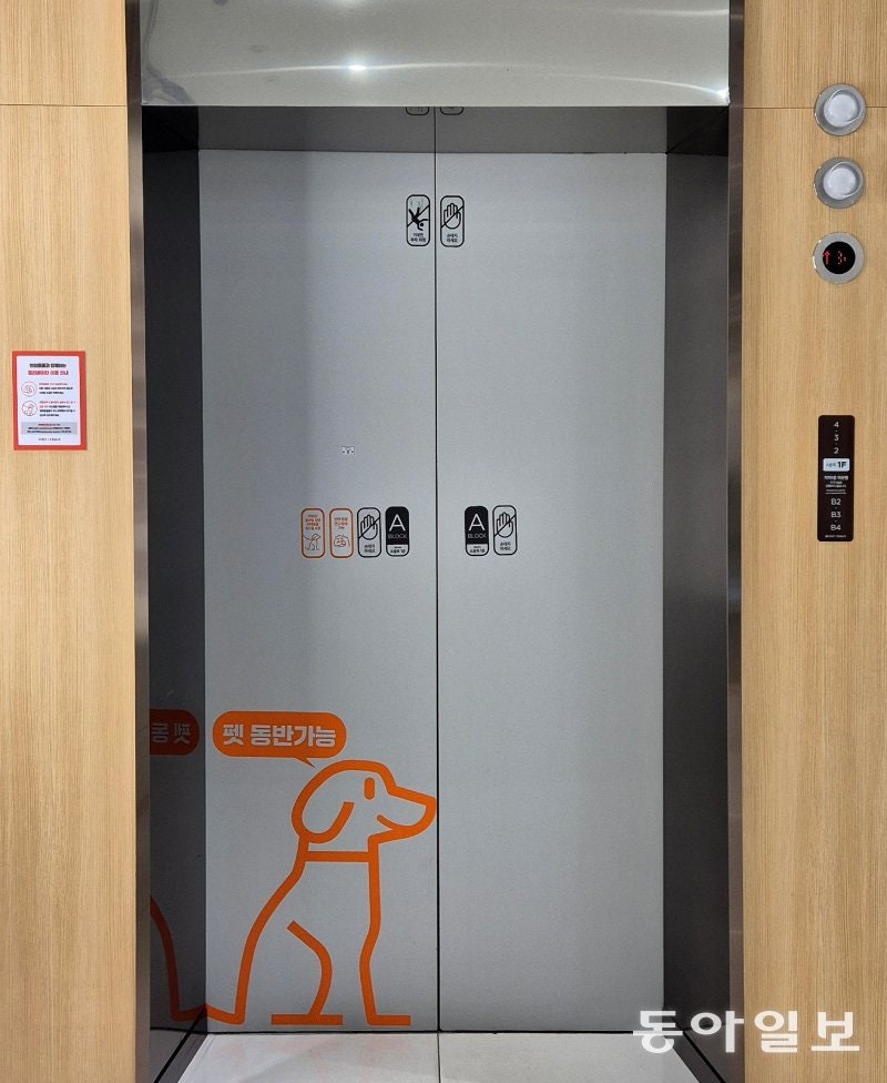 [고양이 눈]함께 사는 법