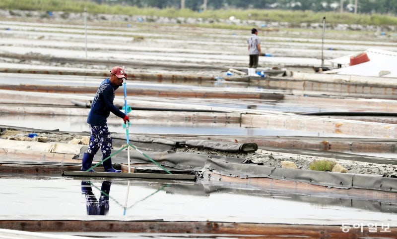 ‘강제노동 논란’ 신안 염전, 문화유산 반납 신청