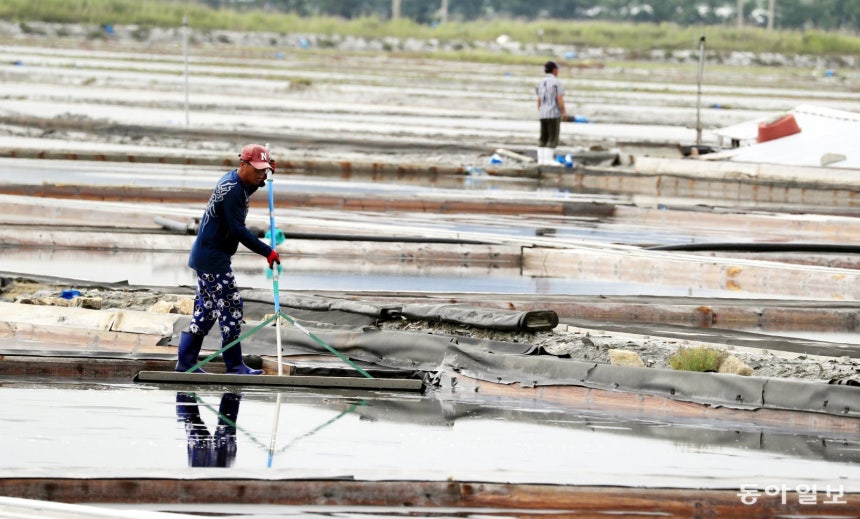 전남 신안군 증도 태평염전. 동아일보DB