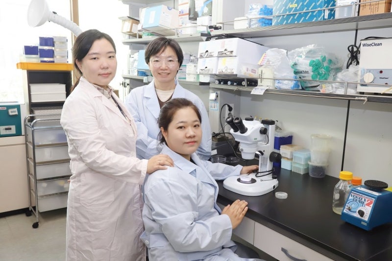 “산모 체내에 쌓인 미세플라스틱, 아이 면역력 약화시킨다”