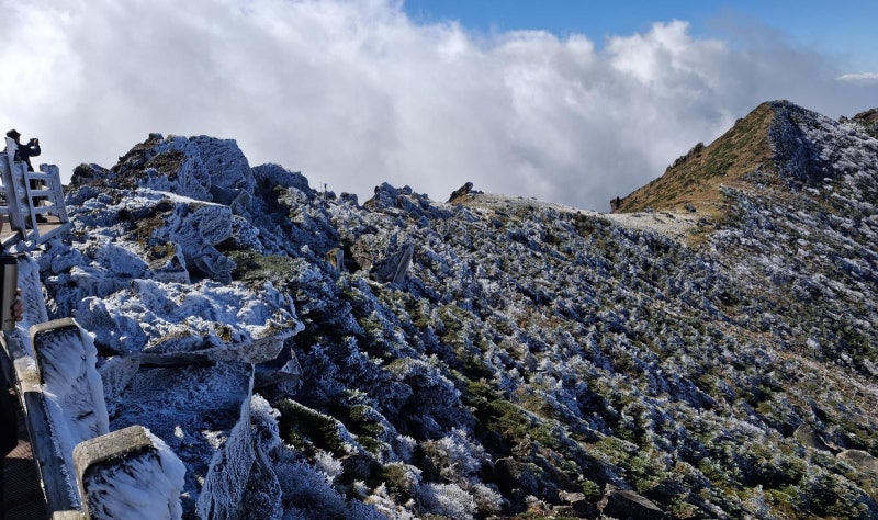 한라산에 올가을 첫 상고대