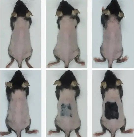 0003670506_001_20251029060112104.jpg?type=w800