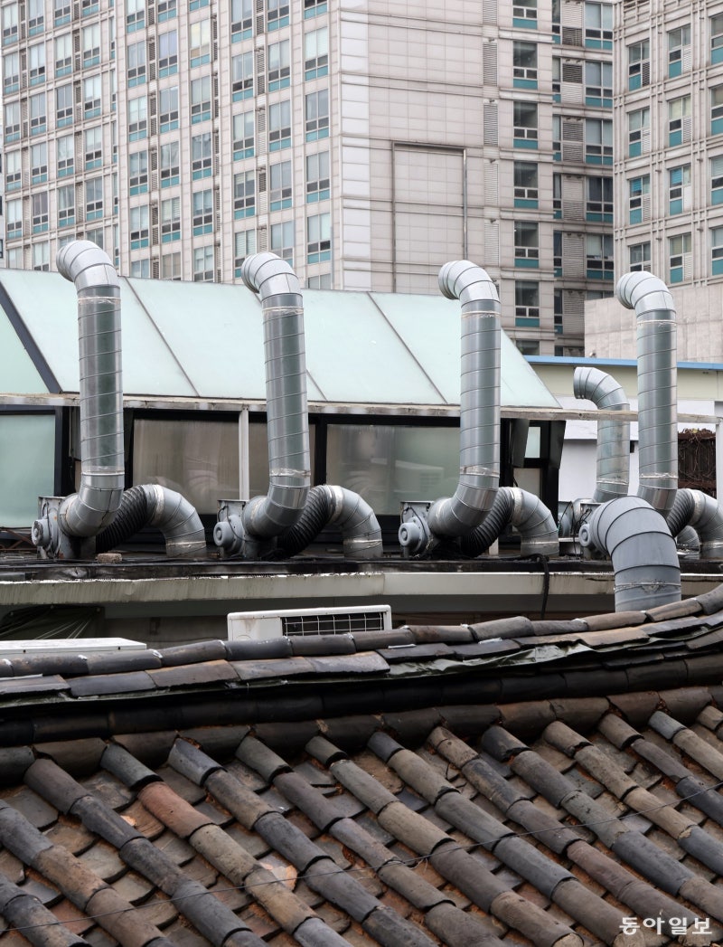 [고양이 눈]지붕 위 비밀 존재