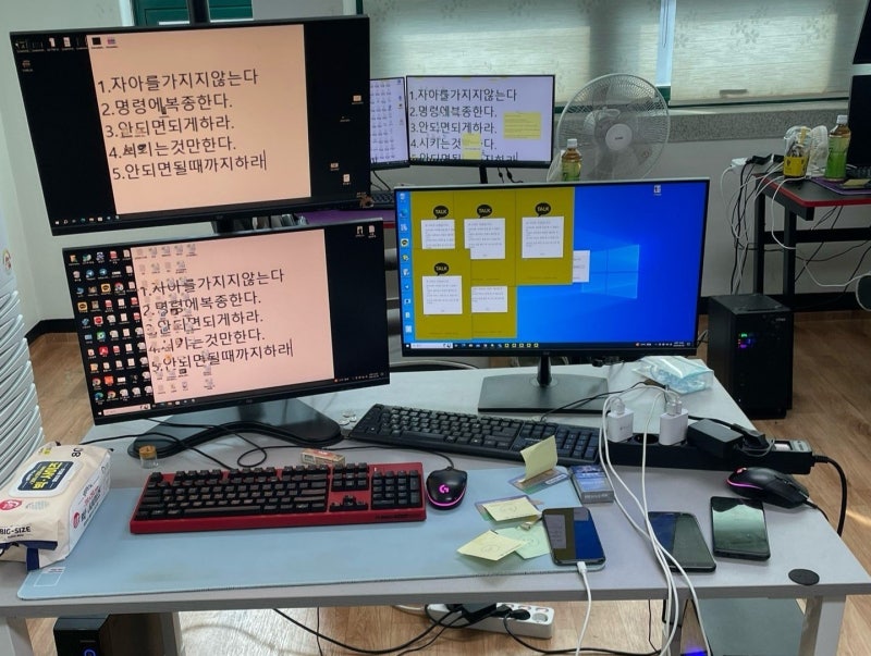 “자아를 갖지 않는다” 강령 MZ조폭, 18억 투자사기