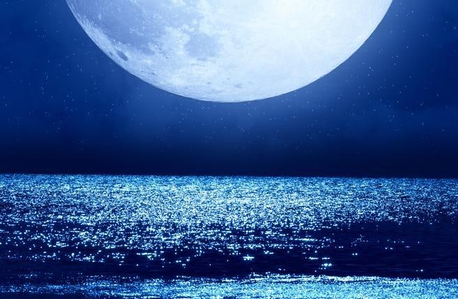 0003671516_001_20251103030435323.jpg?type=w800