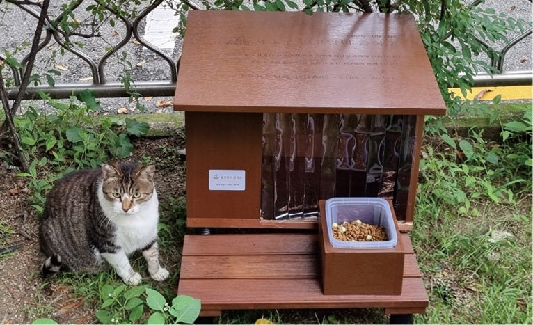 [서초구] 산뜻해진 길고양이 급식소