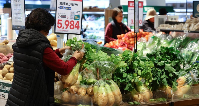 김장 배추-다발무 할인