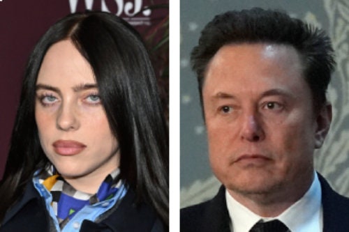 빌리 아일리시(왼쪽), 일론 머스크.